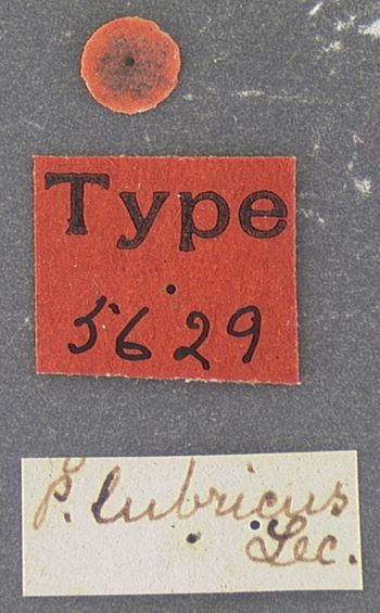 Media type: image;   Entomology 5629 Aspect: labels
